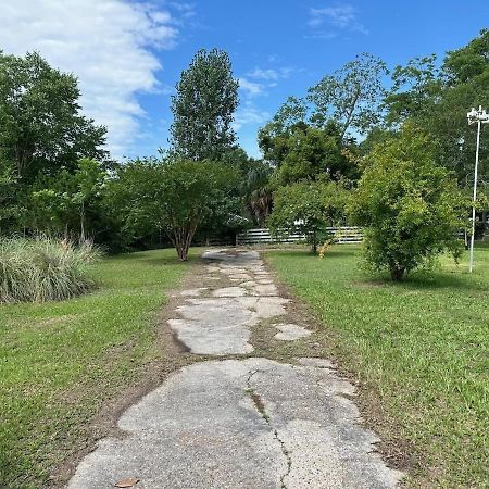 Bare Feet Bungalow -Close To Beach & Dog Friendly Gulfport Buitenkant foto