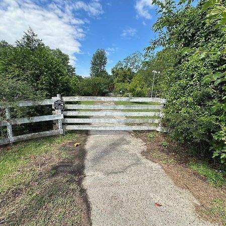 Bare Feet Bungalow -Close To Beach & Dog Friendly Gulfport Buitenkant foto