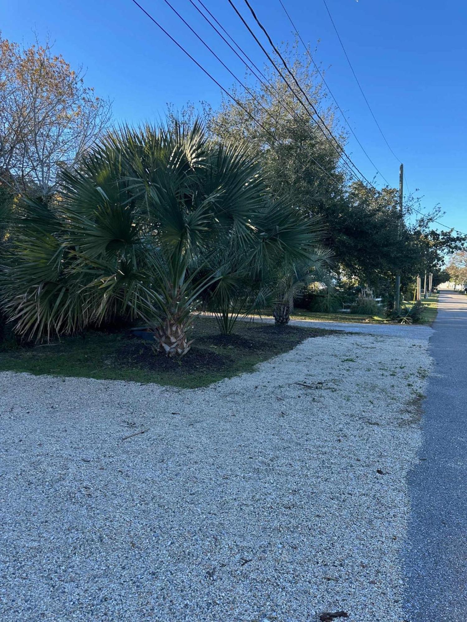 Bare Feet Bungalow -Close To Beach & Dog Friendly Gulfport Buitenkant foto